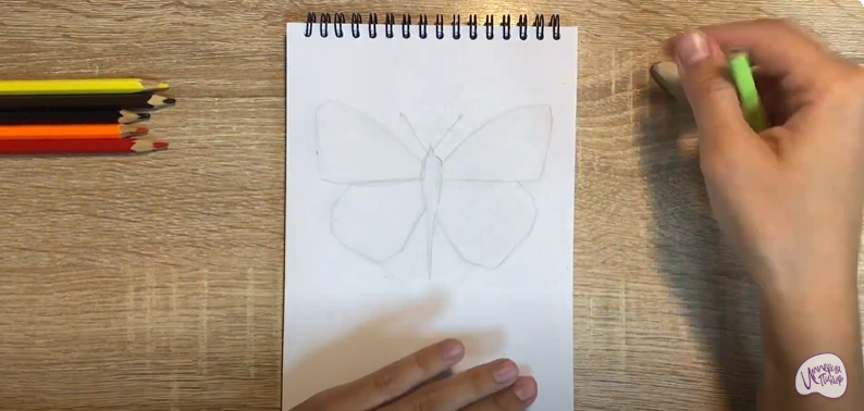 Рисуем Желтушка луговая
