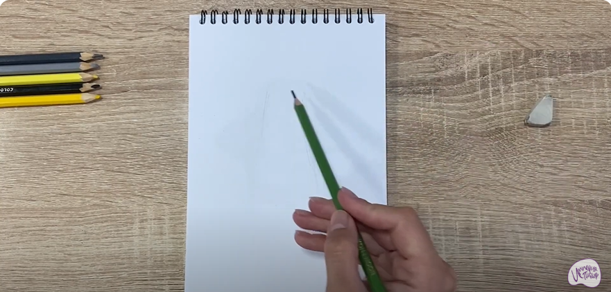 Рисуем Хохлатка