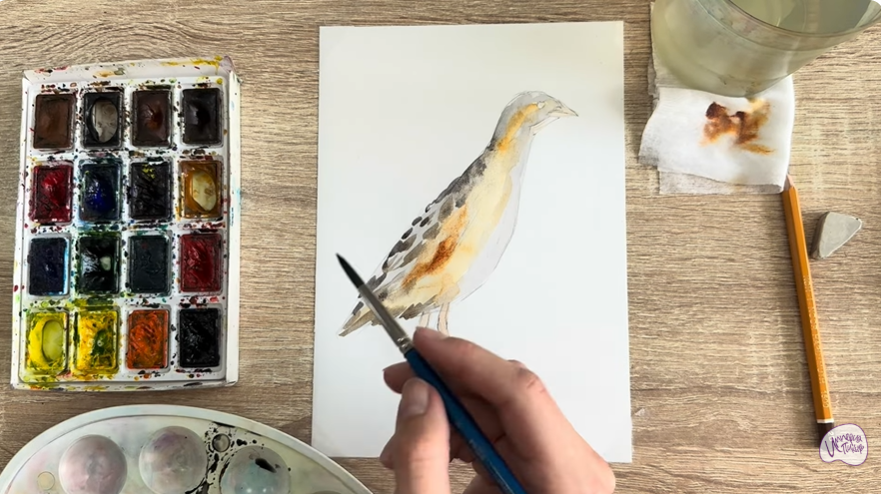Рисуем Коростель