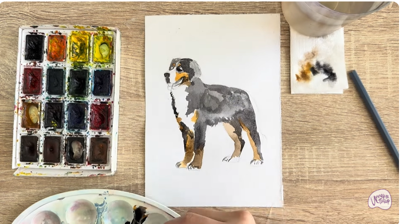 Рисуем Собака породы Бернский зенненхунд