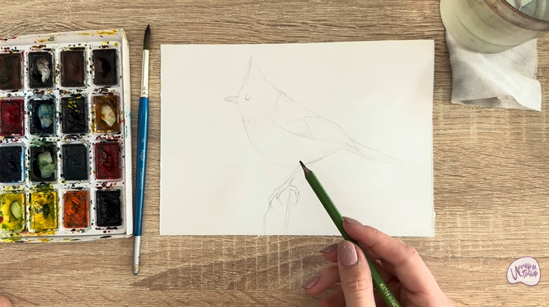 Рисуем Хохлатая синица