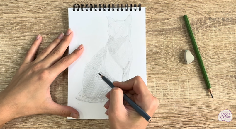 Рисуем Бурманский кот