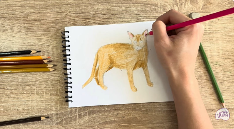 Рисуем Кот породы Оцикет