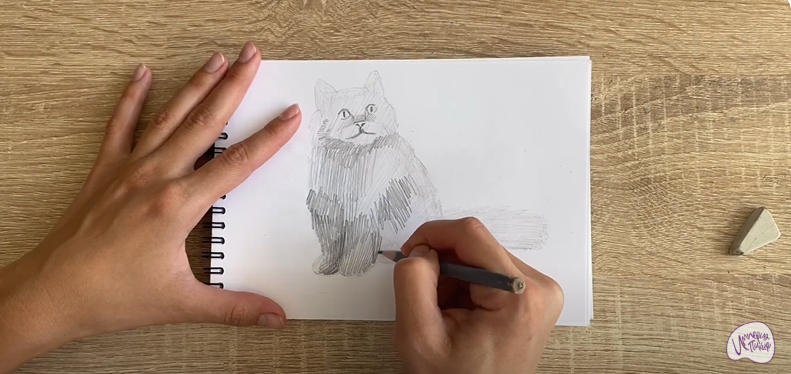 Рисуем Богемский рекс