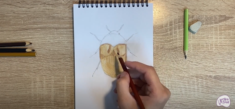 Рисуем Жук капровый