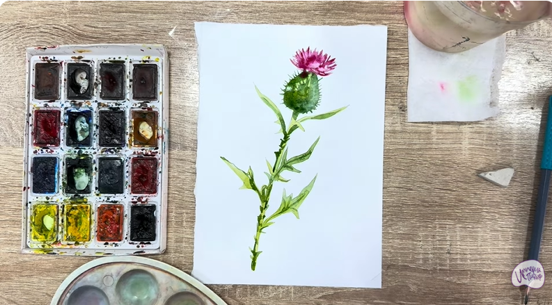 Рисуем Бодяк