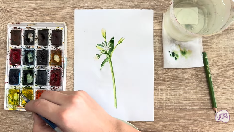 Рисуем Ясколка длинноволосая