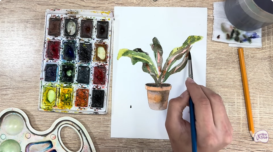 Рисуем Кротон в горшке