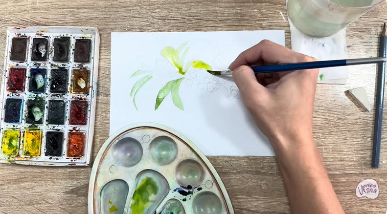 Рисуем Волчья ягода