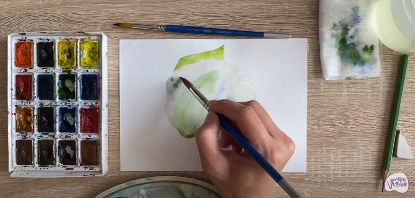 Рисуем Цветная капуста