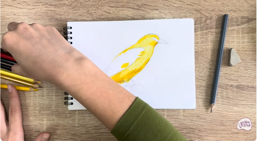 Рисуем Иволга