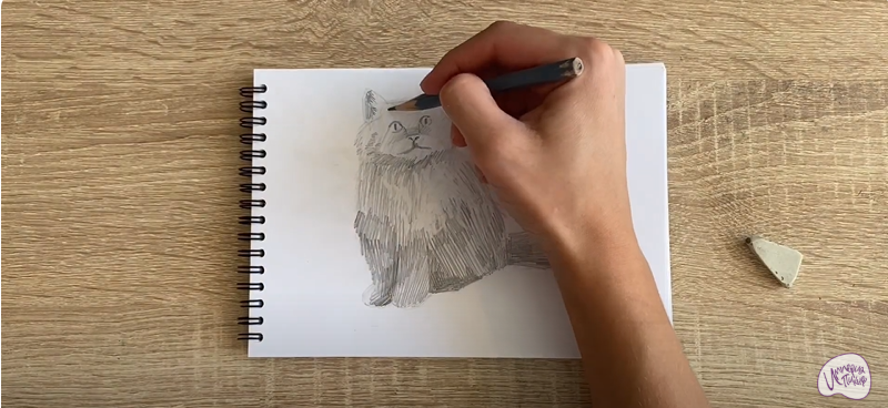 Рисуем Богемский рекс