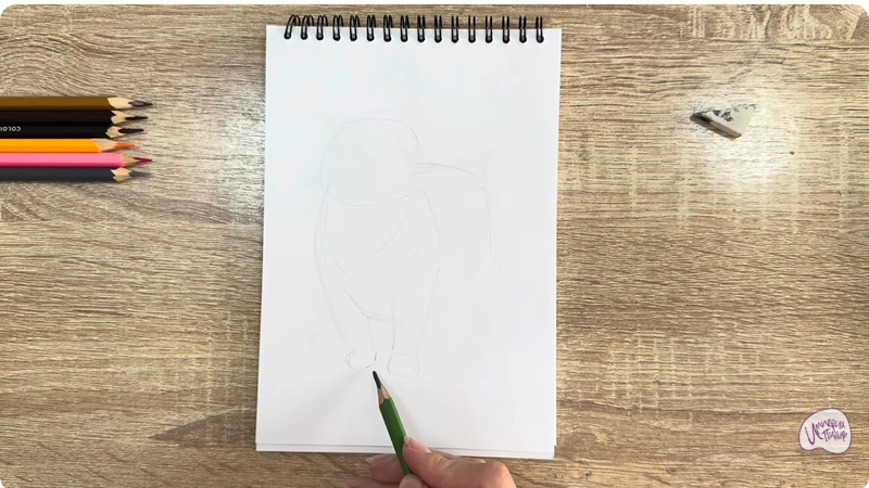 Рисуем Кошка породы "Манчкин"