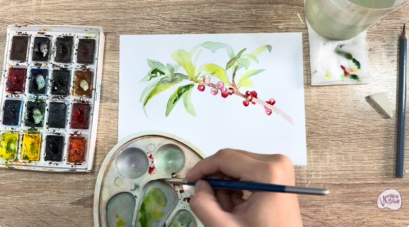 Рисуем Волчья ягода