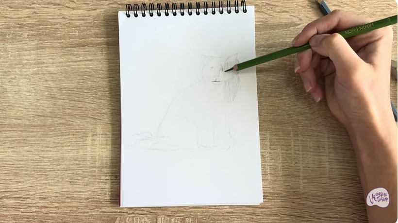 Рисуем Кошка породы Рэгдолл