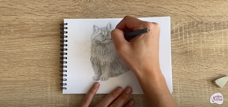 Рисуем Богемский рекс