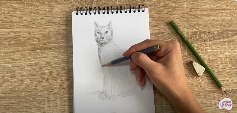 Рисуем Турецкая ангора