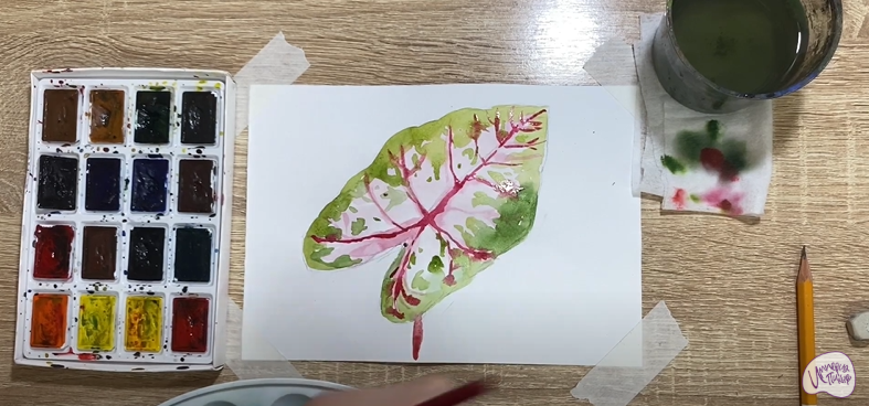 Рисуем Лист каладиума