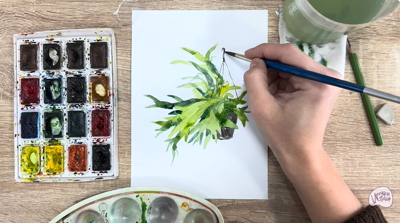 Рисуем Платицериум в горшке