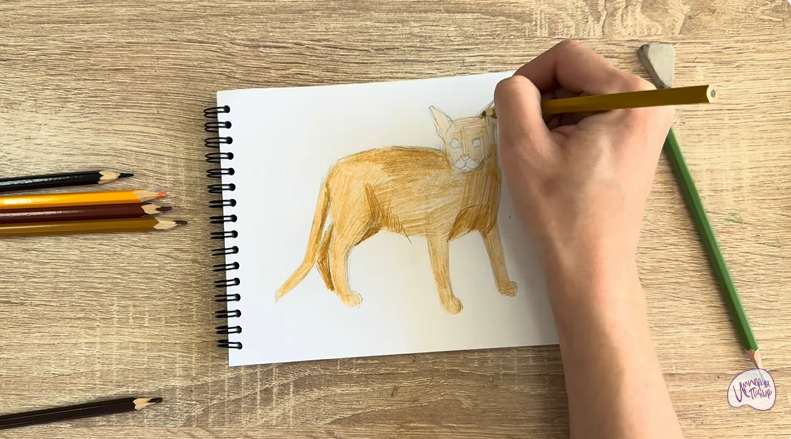 Рисуем Кот породы Оцикет