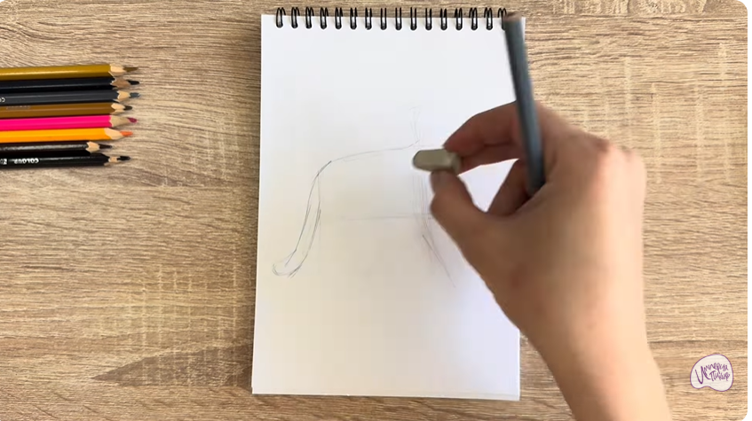 Рисуем Кошка Бурмилла