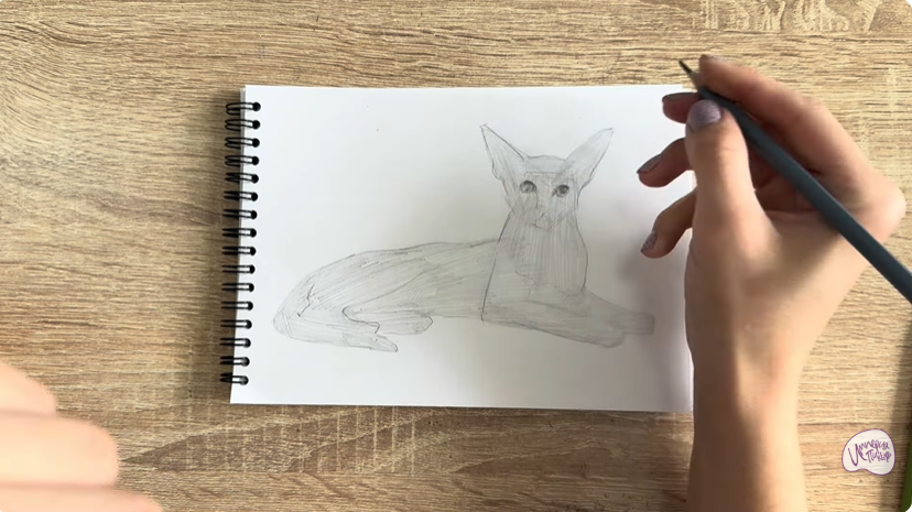 Рисуем Ориентальная кошка