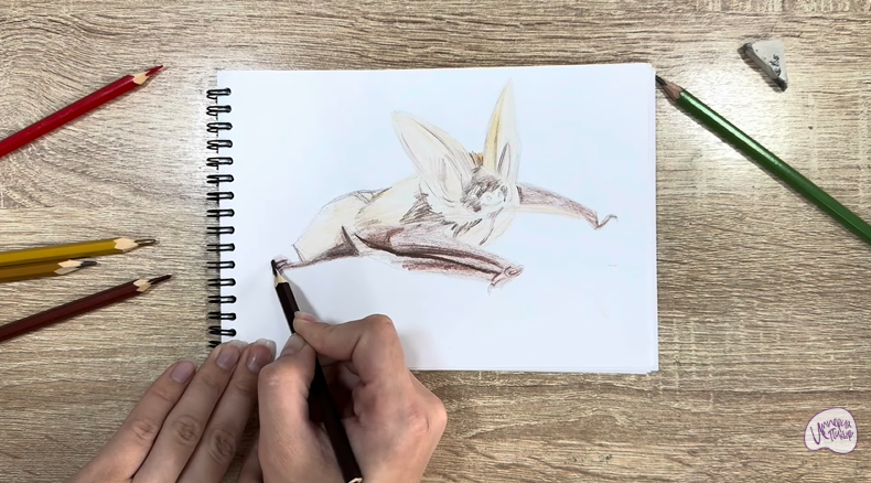 Рисуем Бурый ушан