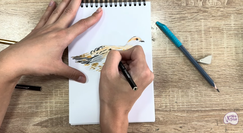 Рисуем Канадская дикуша