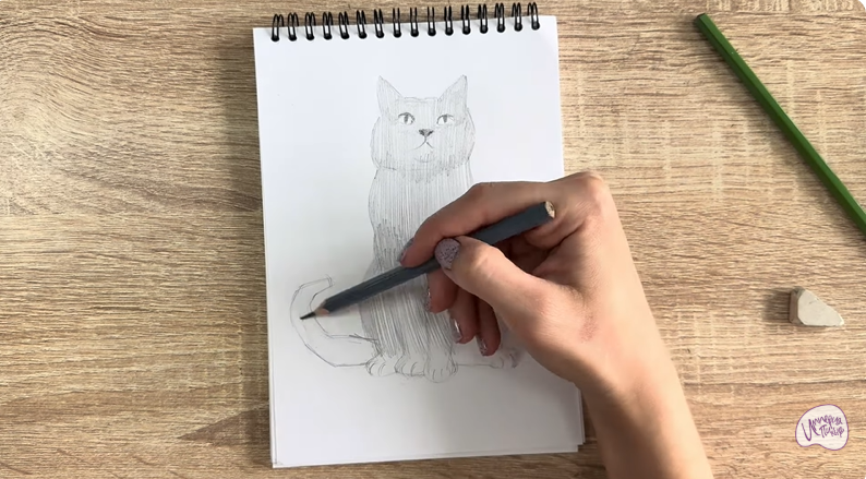 Рисуем Кот породы Шартрез