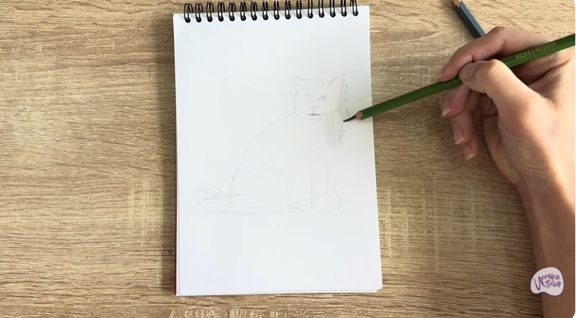 Рисуем Кошка породы Рэгдолл