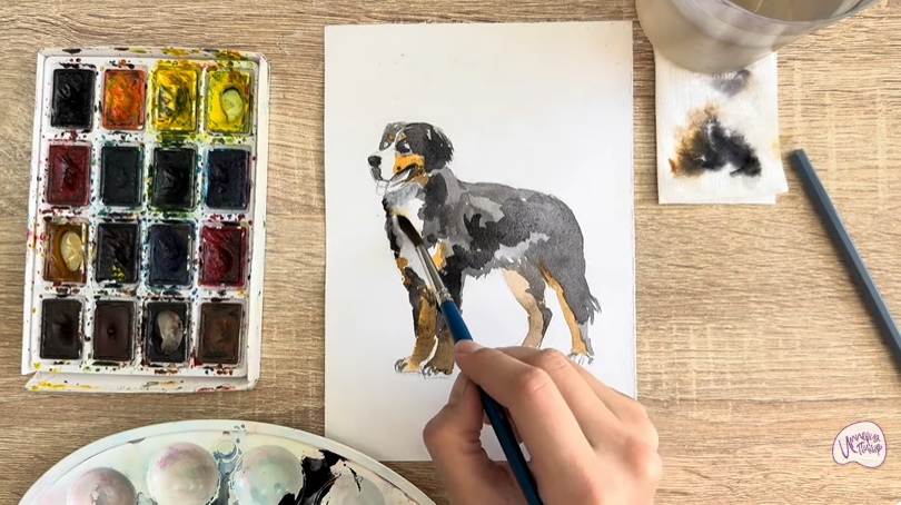 Рисуем Собака породы Бернский зенненхунд