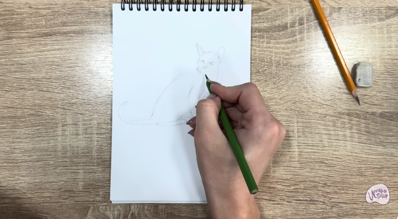 Рисуем Кот породы "Корат"