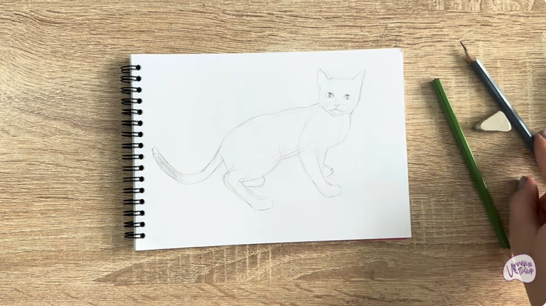 Рисуем Бомбейская кошка