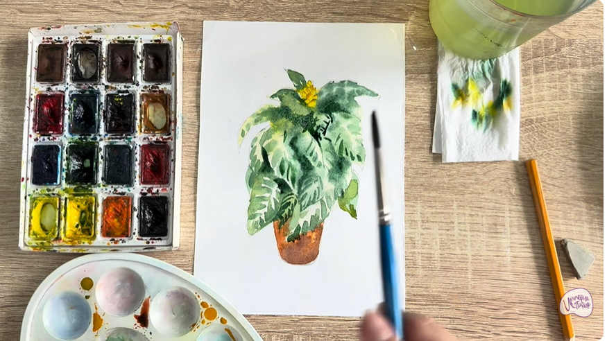 Рисуем Афеландра в горшке