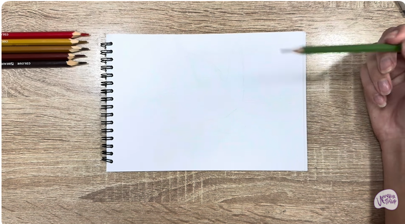 Рисуем Бурый ушан