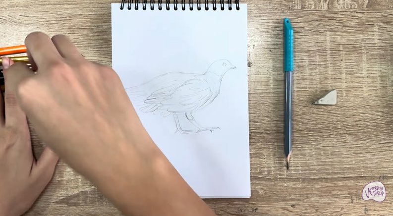 Рисуем Канадская дикуша