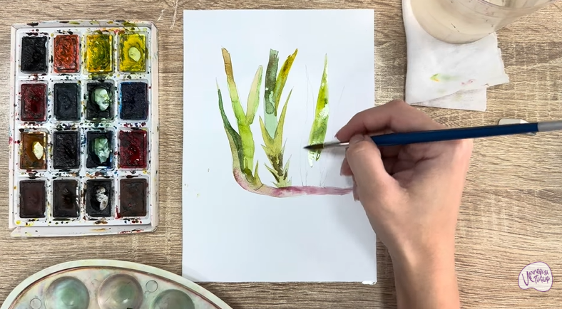 Рисуем Аир болотный