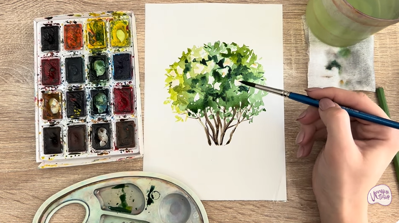 Рисуем Саженец бирючины