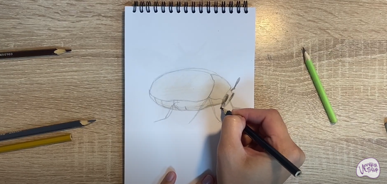 Рисуем Кожеед