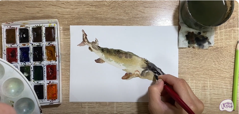 Рисуем Стерлядь