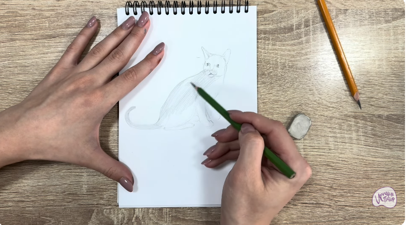 Рисуем Кот породы "Корат"