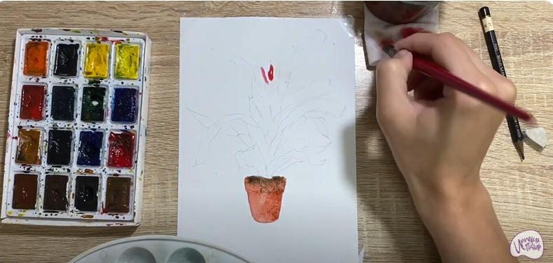 Рисуем Цветок "Эхмея"