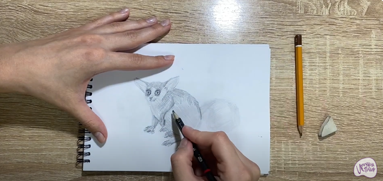 Рисуем Галаго