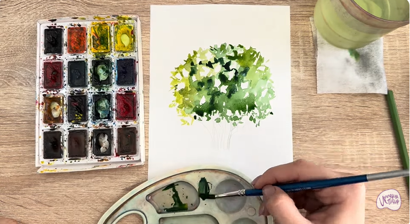 Рисуем Саженец бирючины