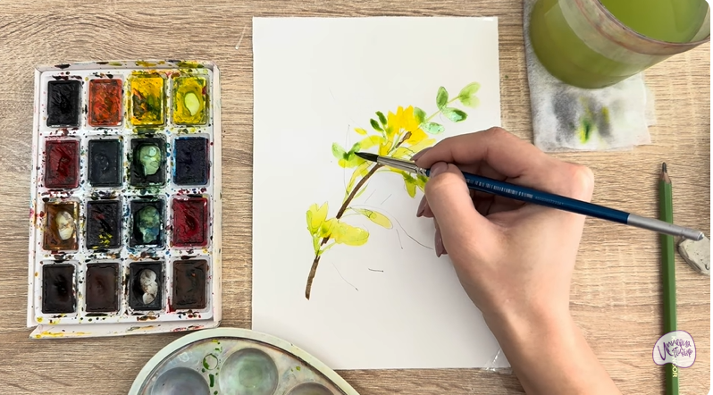 Рисуем Ветка караганы