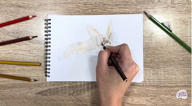 Рисуем Бурый ушан