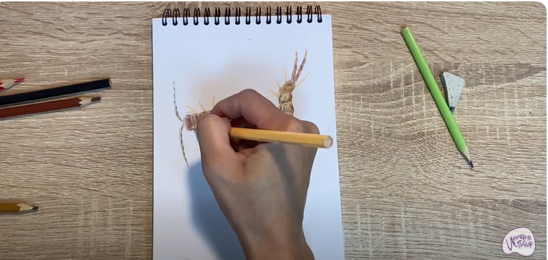 Рисуем Сколопендра