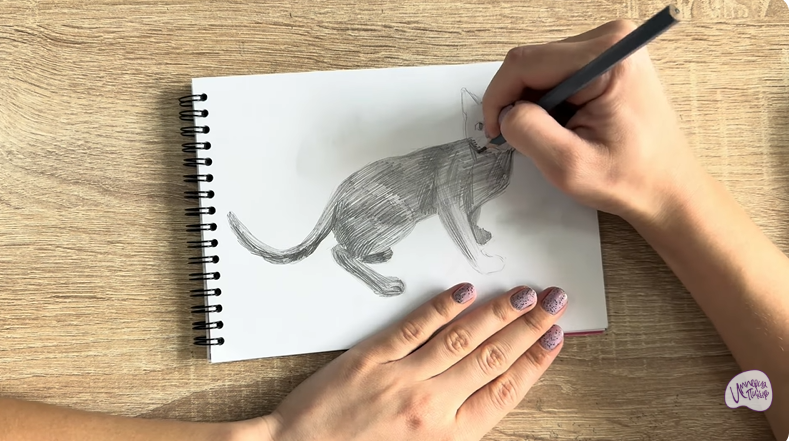 Рисуем Бомбейская кошка