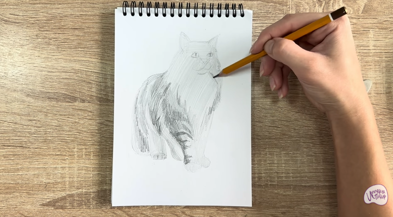 Рисуем Норвежский лесной кот