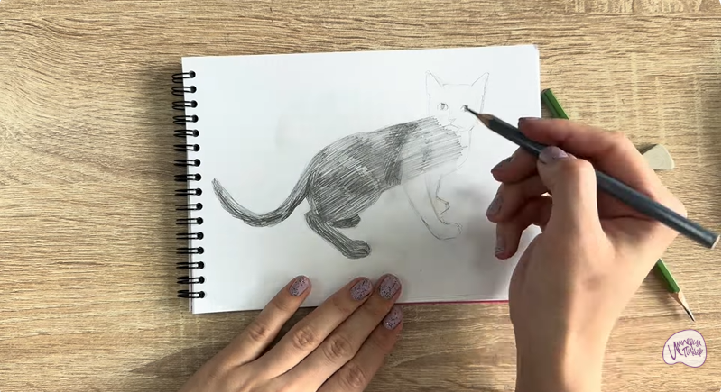 Рисуем Бомбейская кошка